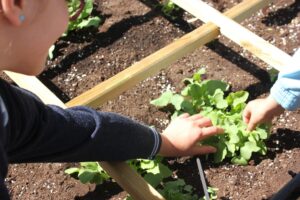 farmidable en el colegio zola las rozas