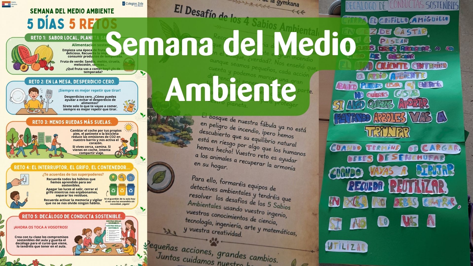 Así celebramos la Semana del Medio Ambiente en el Colegio Zola Las Rozas: «5 días, 5 retos»